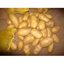 Top Quality for Exporting Fresh Potato